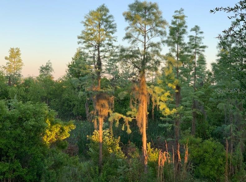 2721 TARRAGONA WAY, WESLEY CHAPEL, FL, 33543
