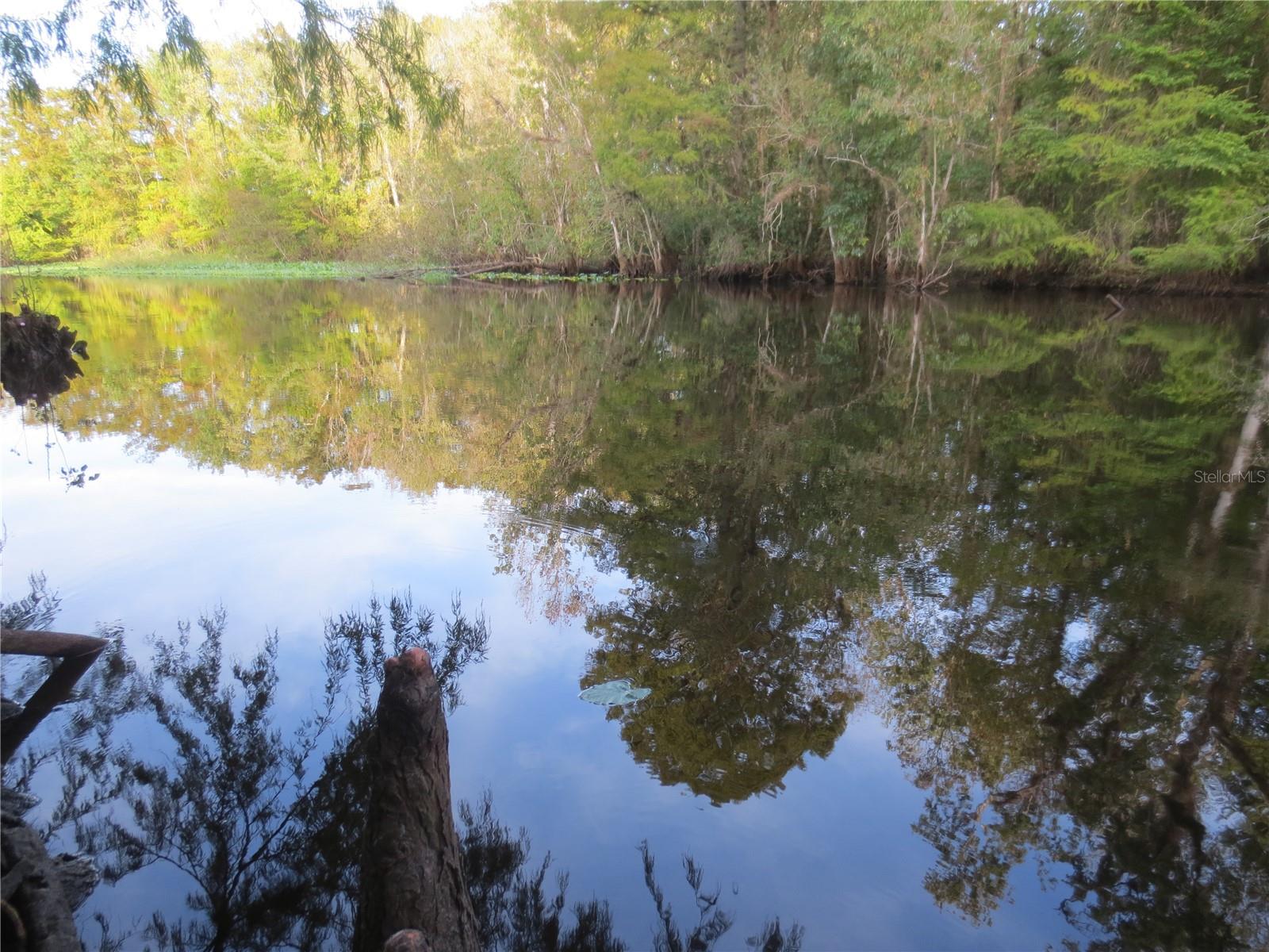 13099 NE 7 LOOP, SILVER SPRINGS, FL, 34488
