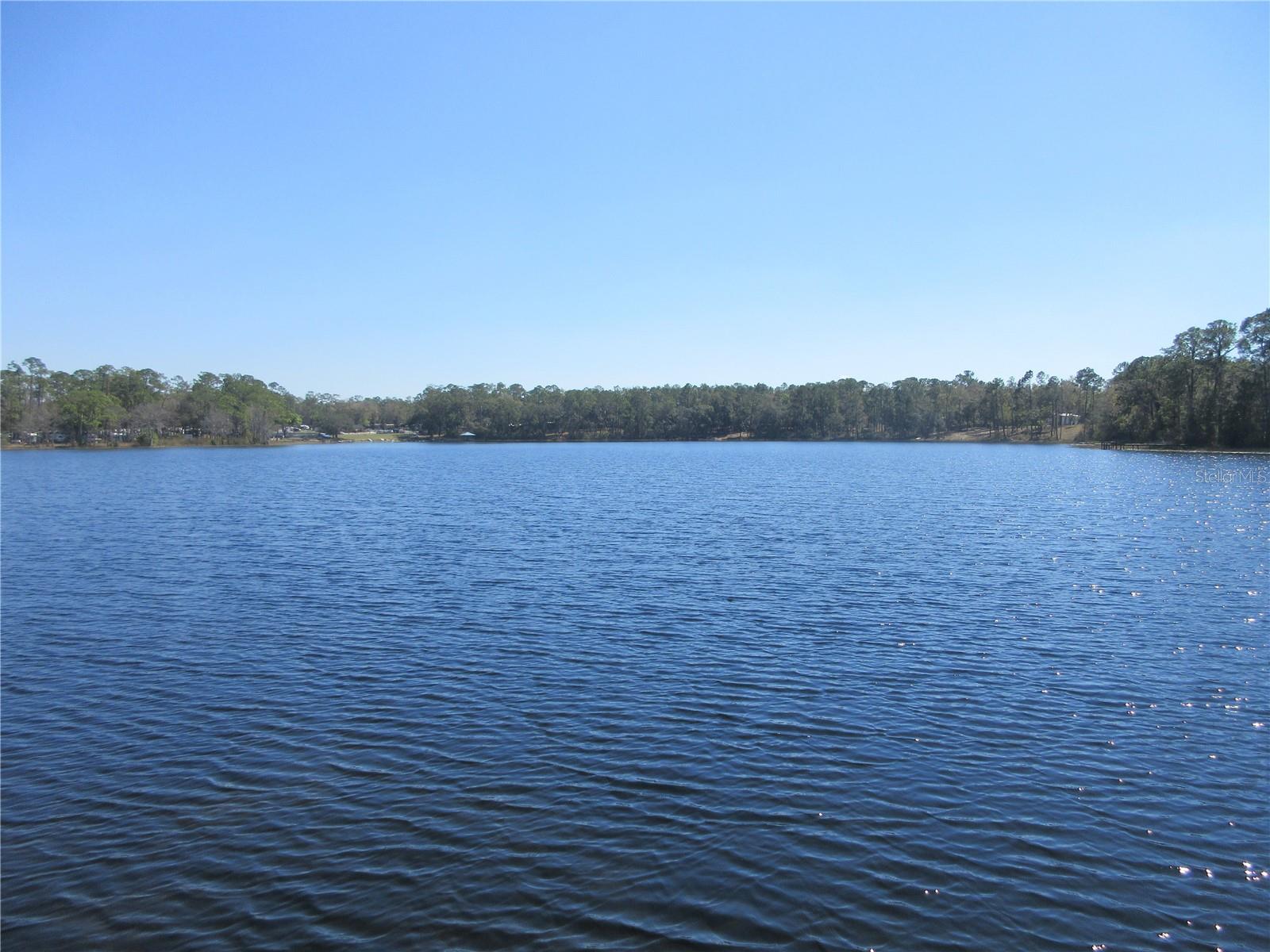 13055 NE 7TH LOOP, SILVER SPRINGS, FL, 34488