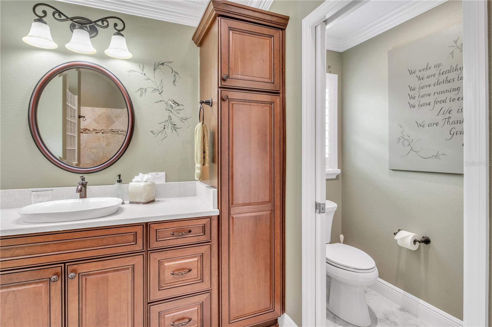 2532 EDENVILLE PATH, THE VILLAGES, FL, 32162