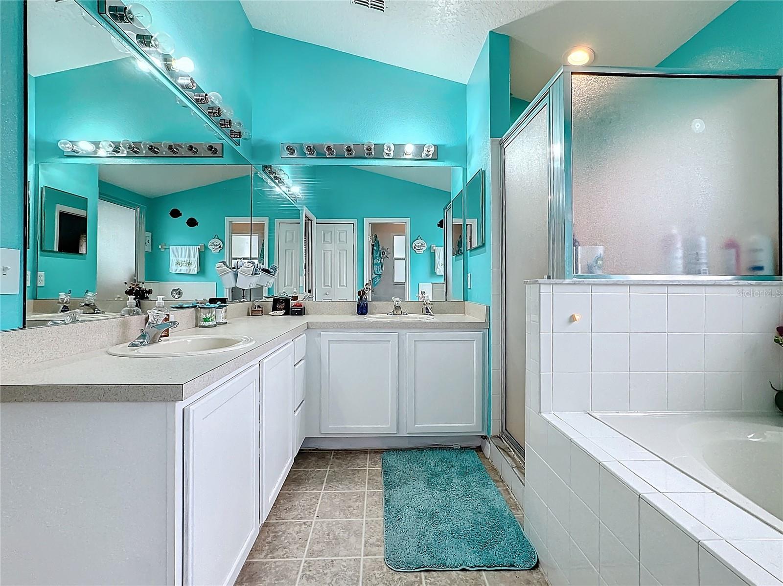 2508 BALMORAL DR, KISSIMMEE, FL, 34744