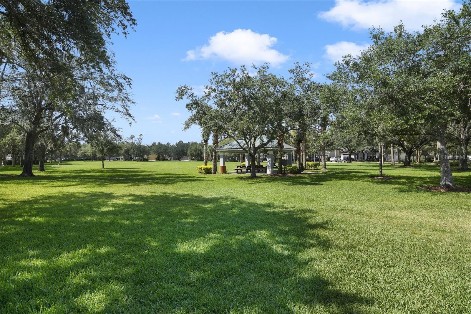 10126 FIGMAN WAY, ORLANDO, FL, 32827