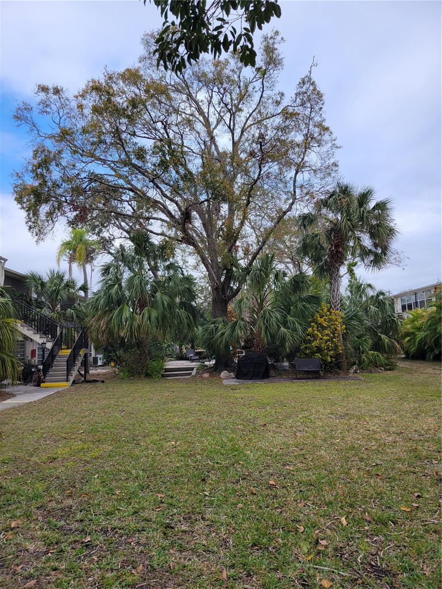 4001 58TH ST N #26C, ST PETERSBURG, FL, 33709