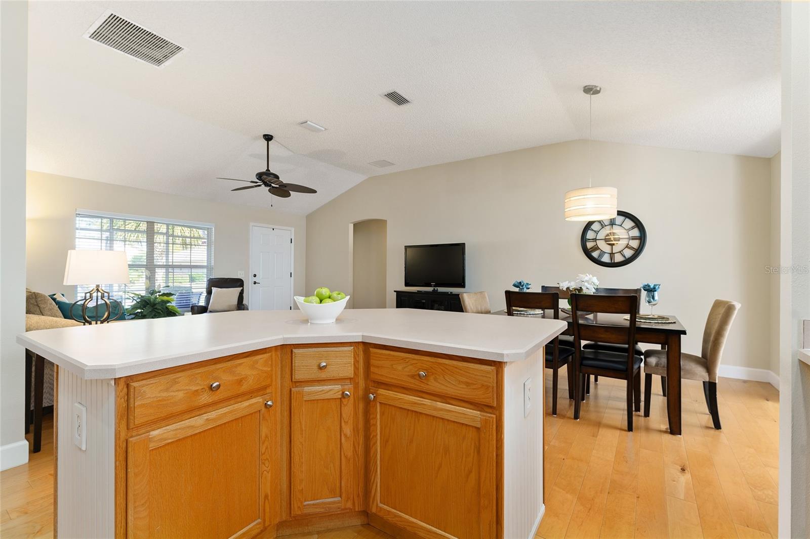 3488 STERLING ST, THE VILLAGES, FL, 32162