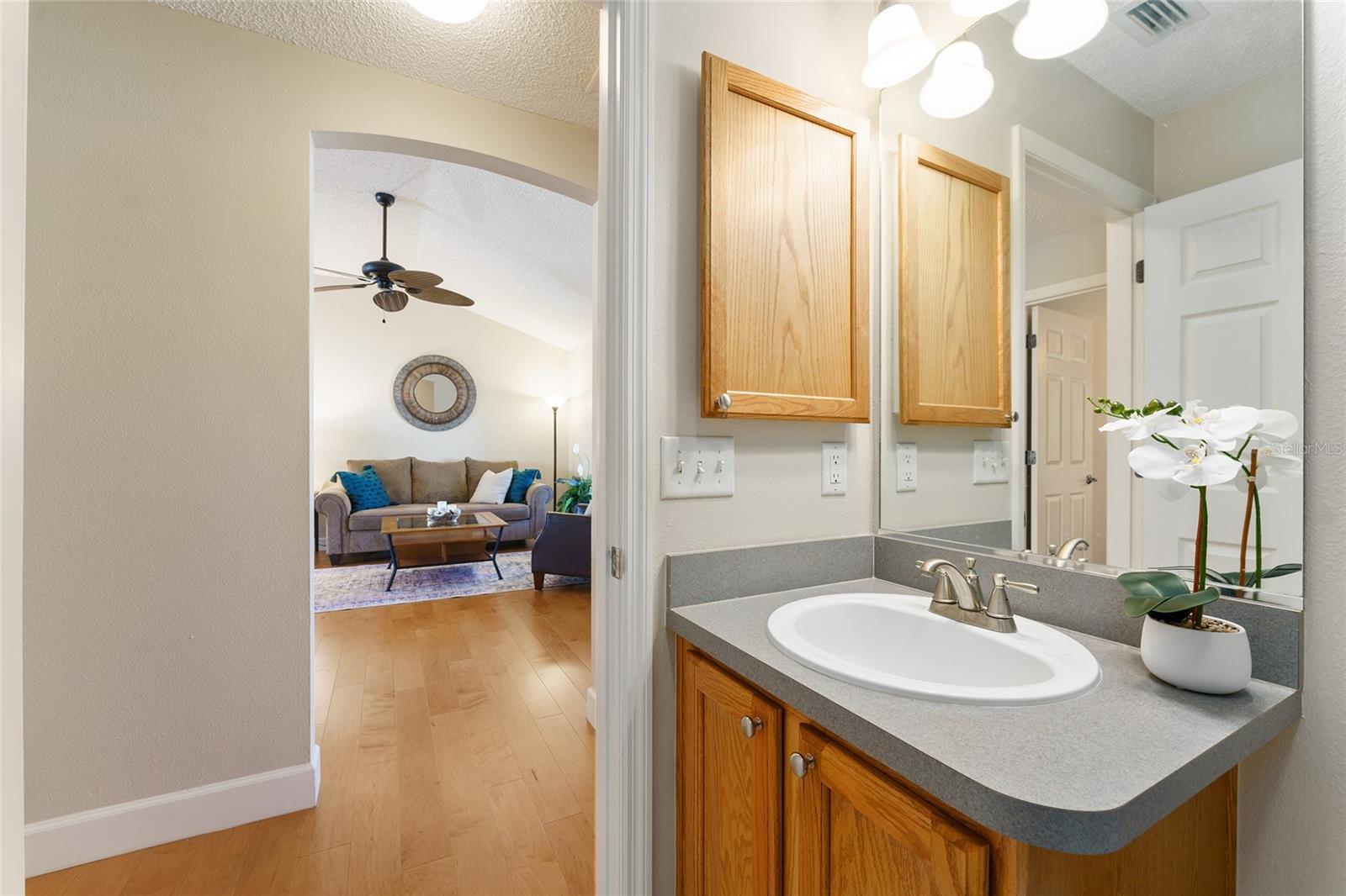 3488 STERLING ST, THE VILLAGES, FL, 32162