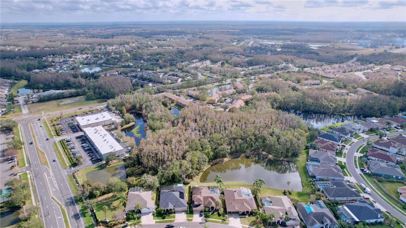 1542 DEERBOURNE DR, WESLEY CHAPEL, FL, 33543