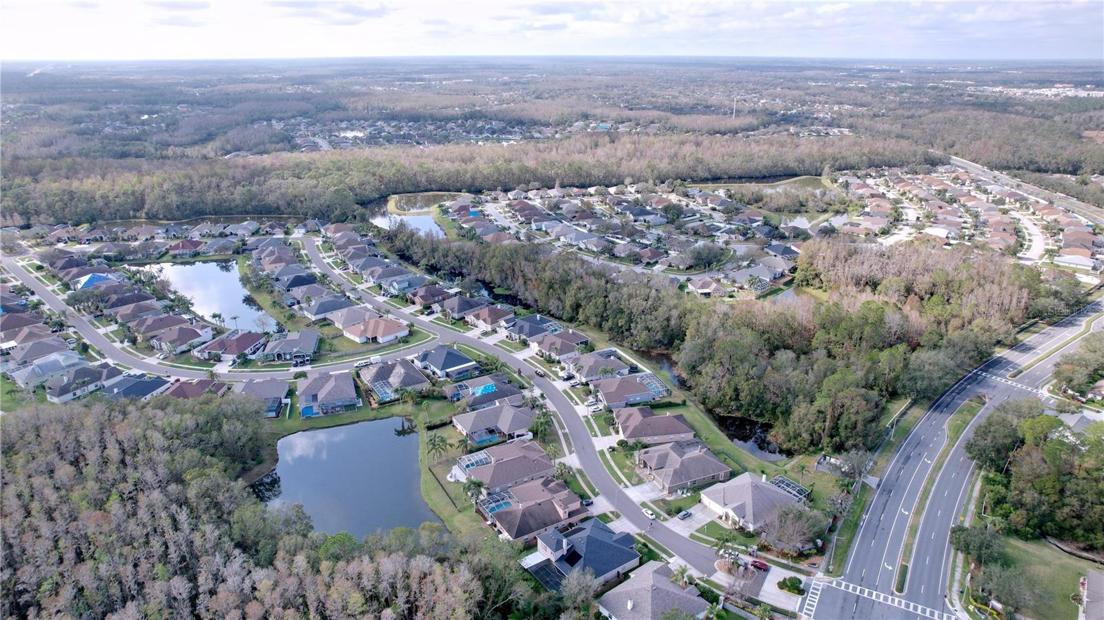 1542 DEERBOURNE DR, WESLEY CHAPEL, FL, 33543
