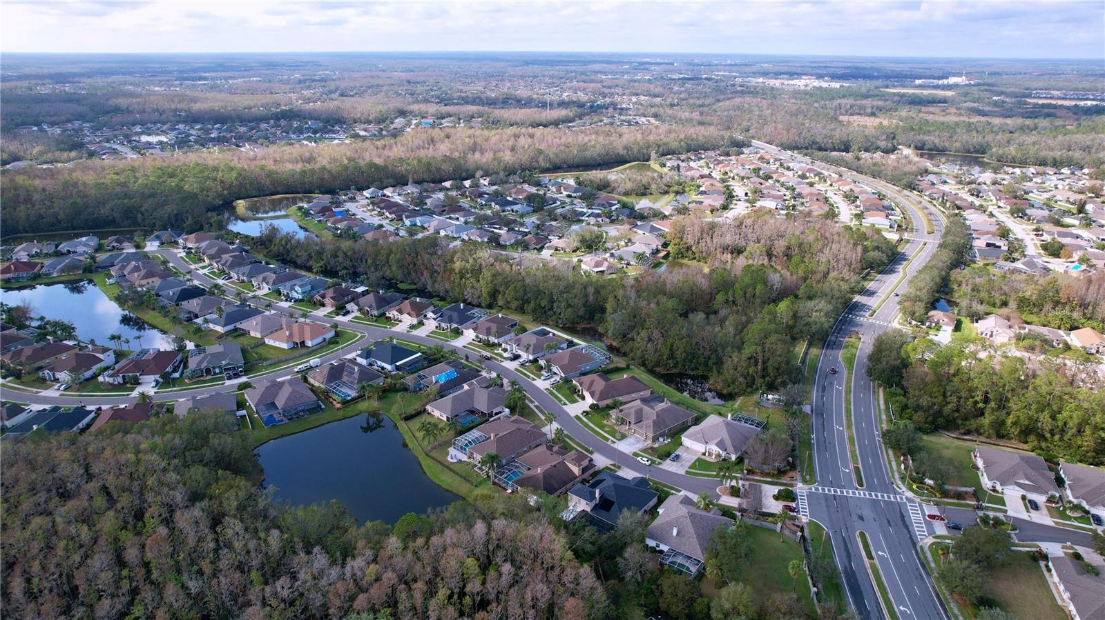 1542 DEERBOURNE DR, WESLEY CHAPEL, FL, 33543