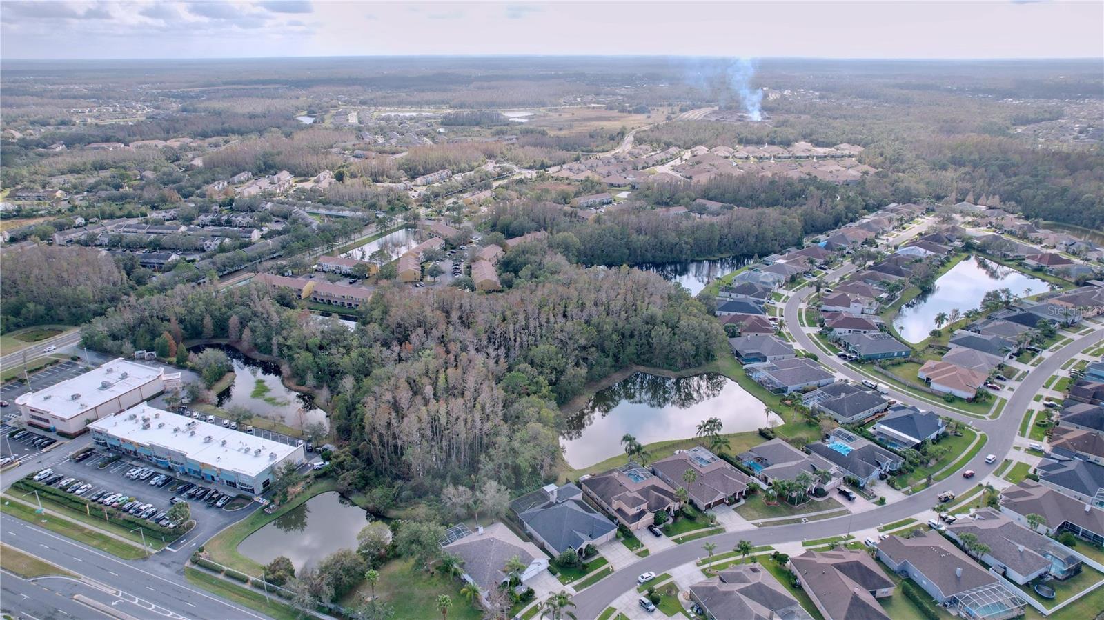 1542 DEERBOURNE DR, WESLEY CHAPEL, FL, 33543