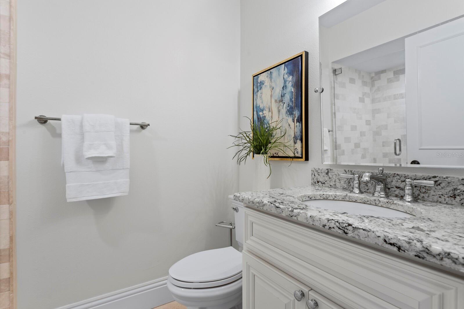 16403 ZURRAQUIN DE AVILA, TAMPA, FL, 33613