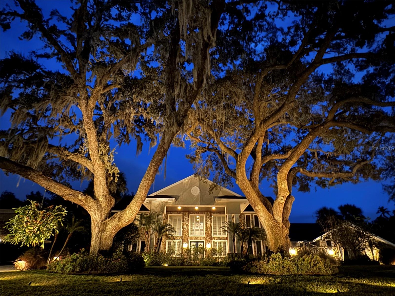 16403 ZURRAQUIN DE AVILA, TAMPA, FL, 33613