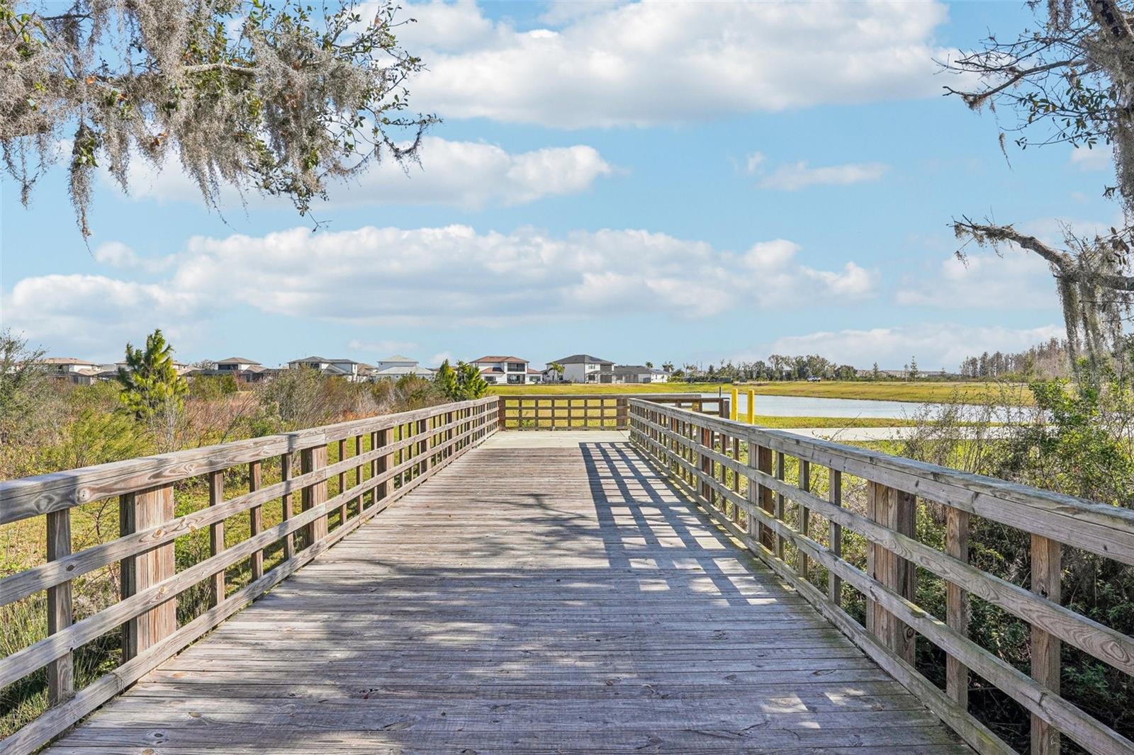 31814 OYSTER TRELLIS LN, WESLEY CHAPEL, FL, 33545