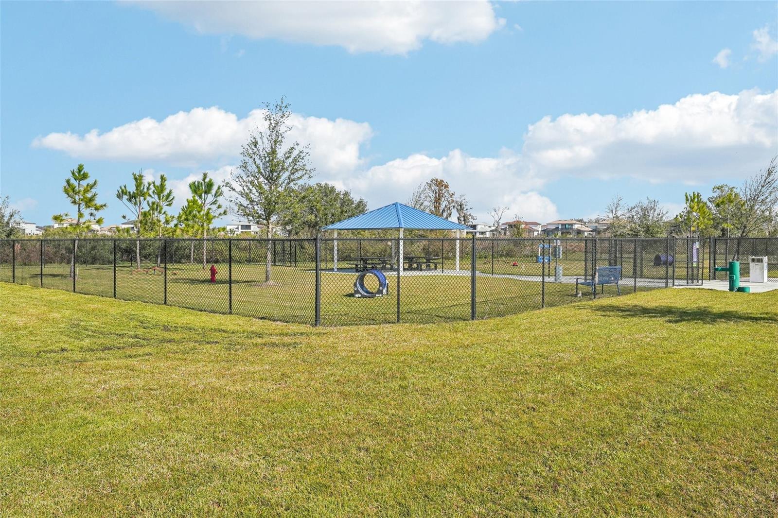 31814 OYSTER TRELLIS LN, WESLEY CHAPEL, FL, 33545