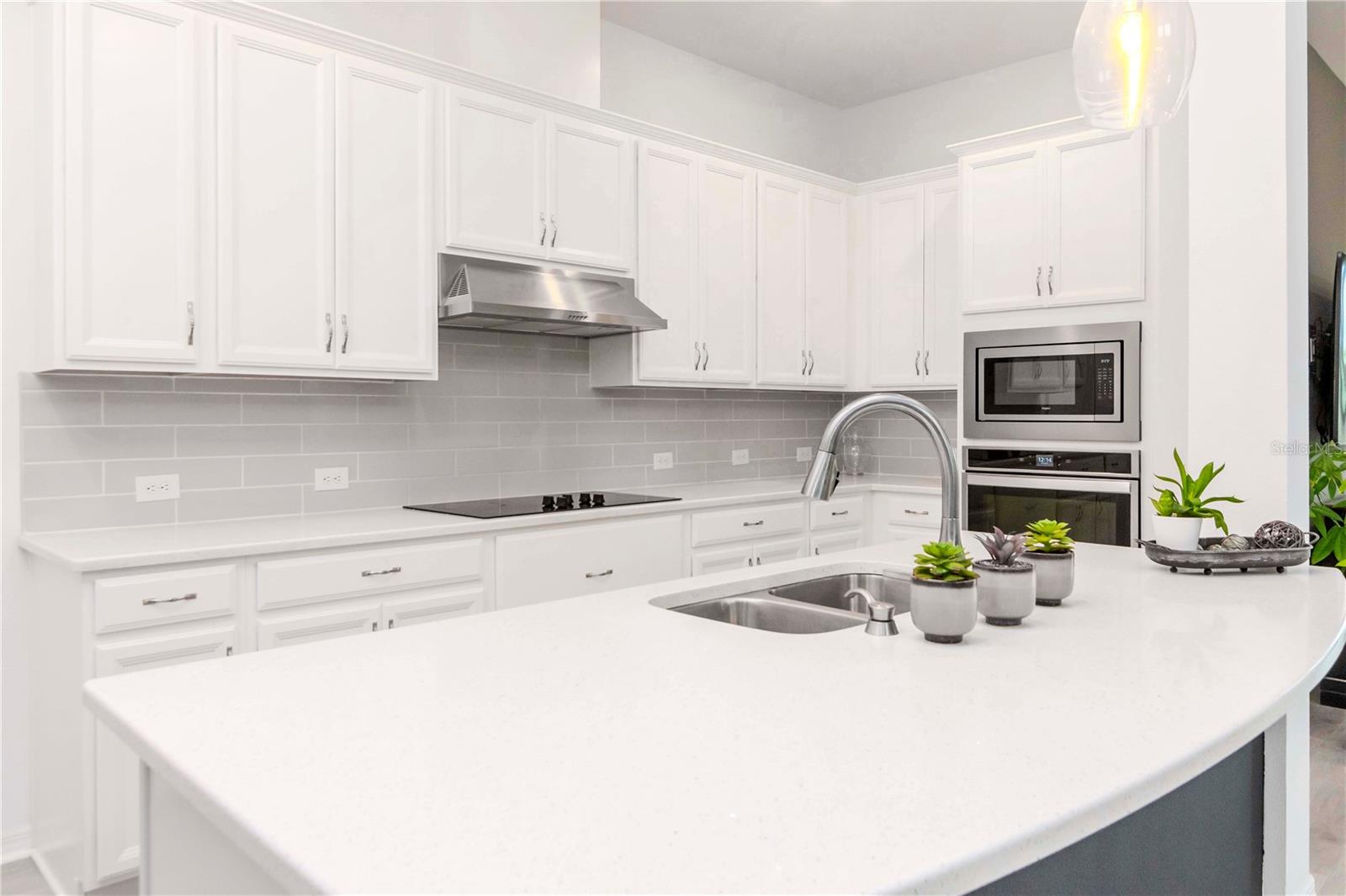 3715 FRONT PARK DR, WESLEY CHAPEL, FL, 33543