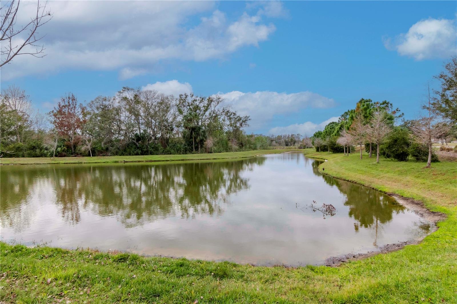 3715 FRONT PARK DR, WESLEY CHAPEL, FL, 33543