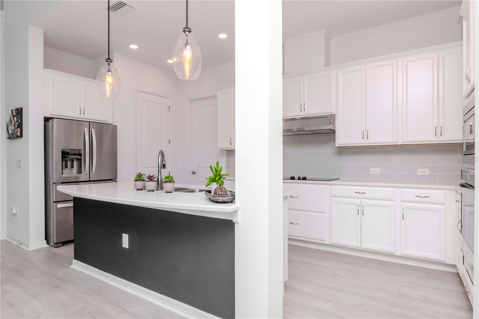 3715 FRONT PARK DR, WESLEY CHAPEL, FL, 33543