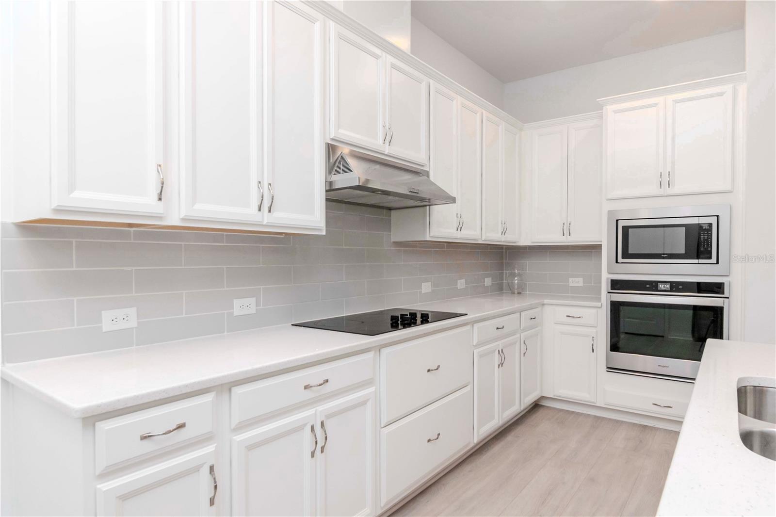 3715 FRONT PARK DR, WESLEY CHAPEL, FL, 33543