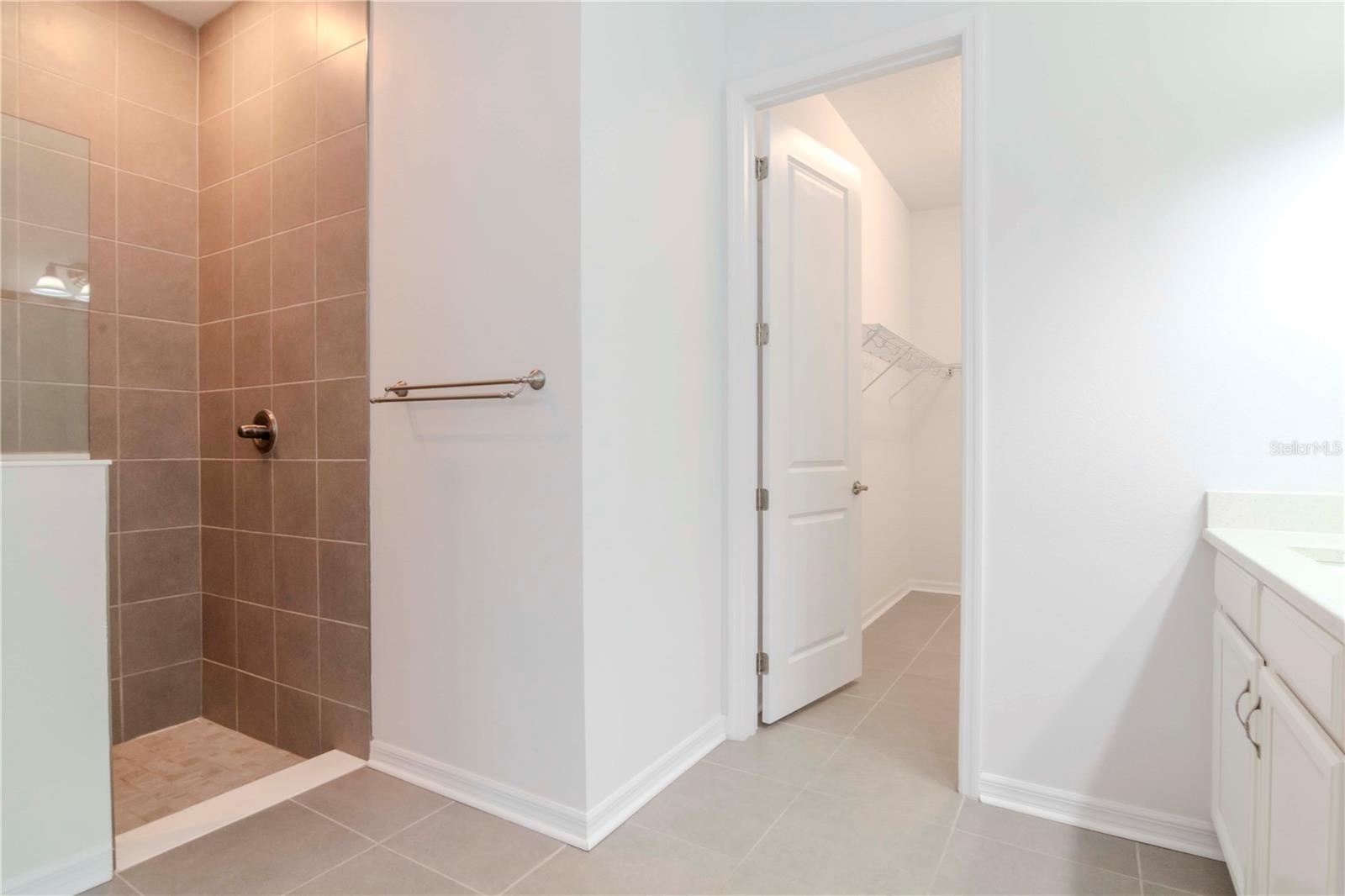 3715 FRONT PARK DR, WESLEY CHAPEL, FL, 33543