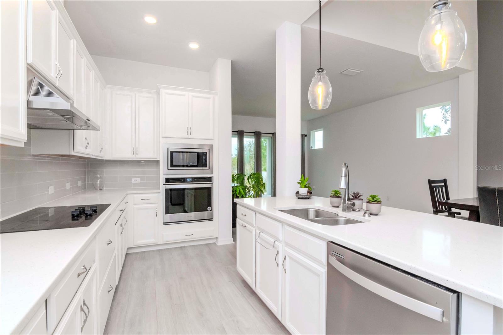 3715 FRONT PARK DR, WESLEY CHAPEL, FL, 33543