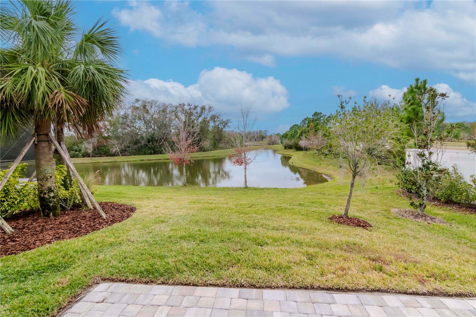 3715 FRONT PARK DR, WESLEY CHAPEL, FL, 33543