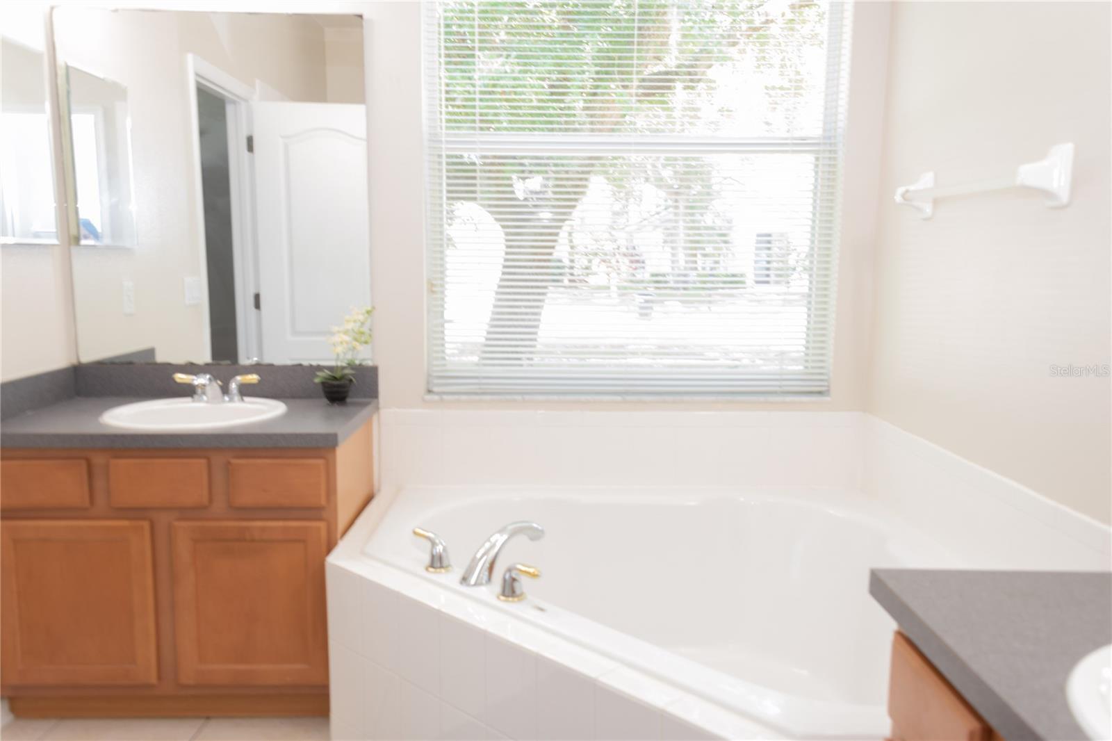 493 MISTY OAKS RUN, CASSELBERRY, FL, 32707