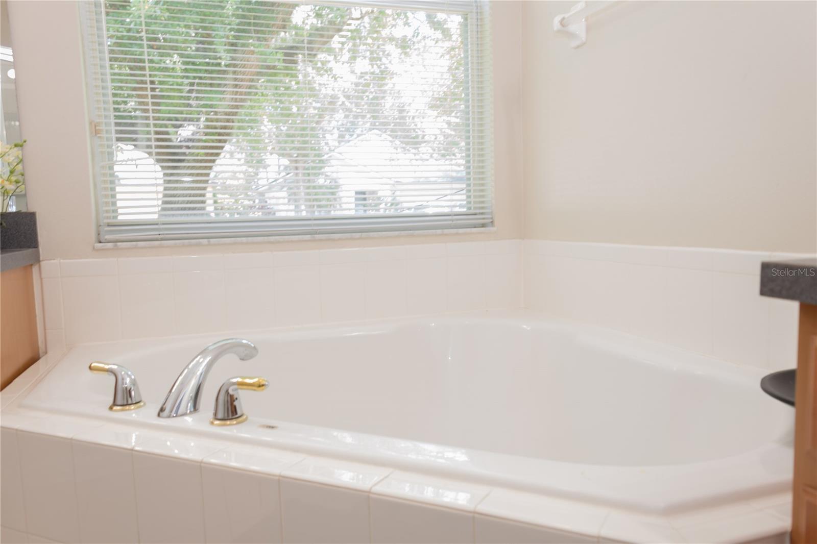 493 MISTY OAKS RUN, CASSELBERRY, FL, 32707