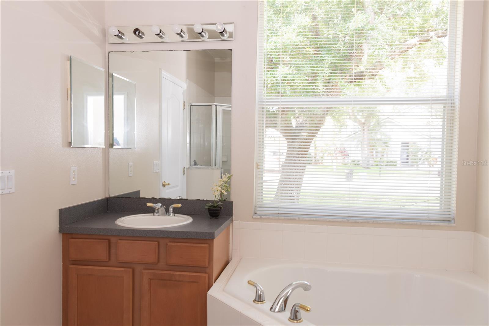 493 MISTY OAKS RUN, CASSELBERRY, FL, 32707