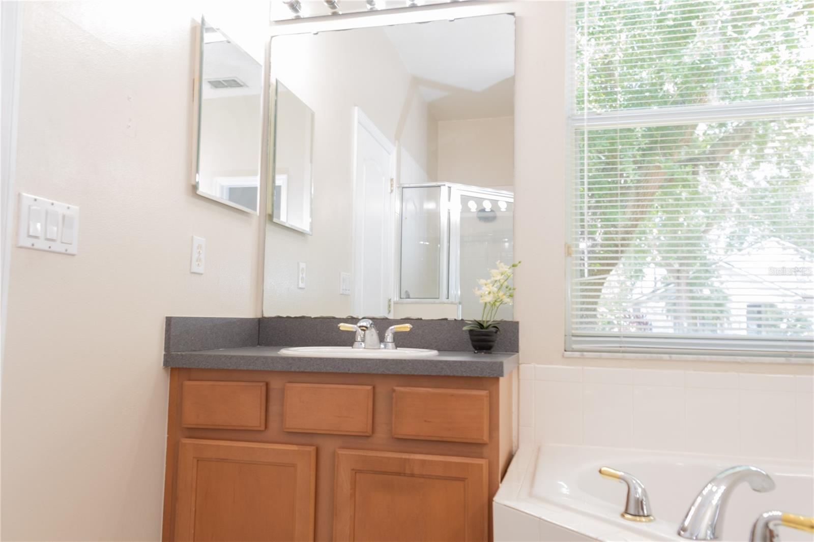 493 MISTY OAKS RUN, CASSELBERRY, FL, 32707