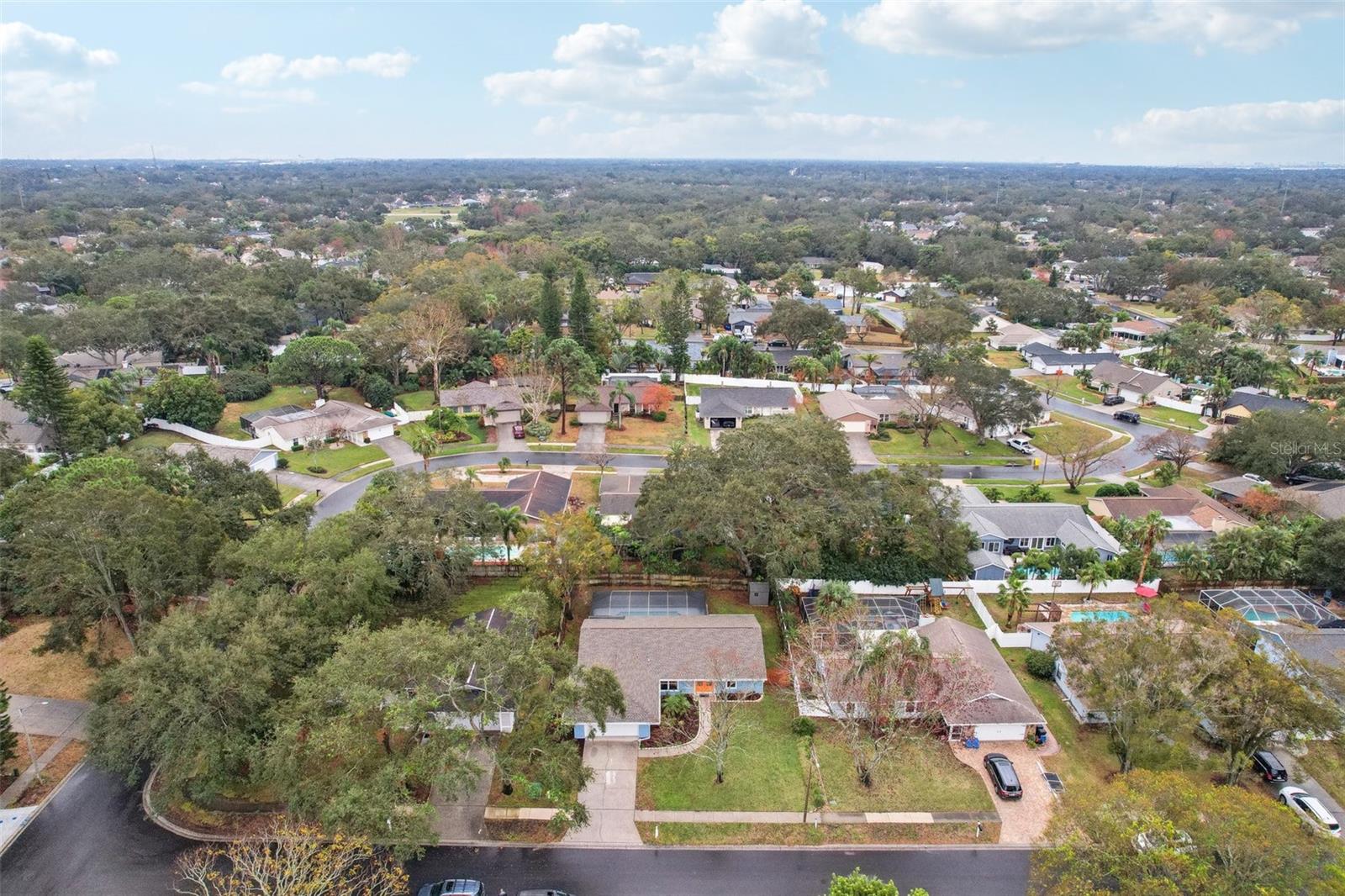 1662 SPOTTSWOOD CIR, PALM HARBOR, FL, 34683