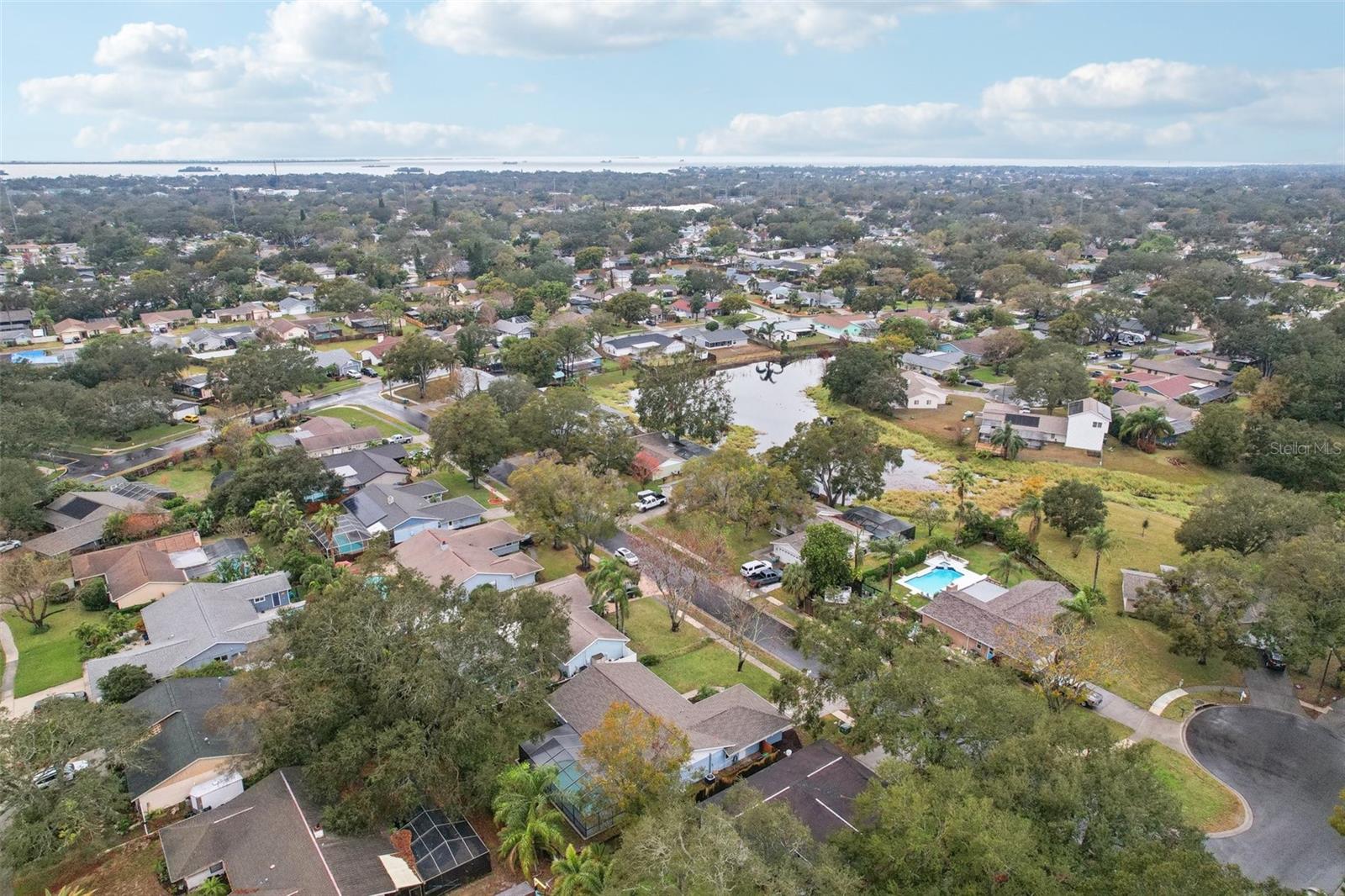1662 SPOTTSWOOD CIR, PALM HARBOR, FL, 34683