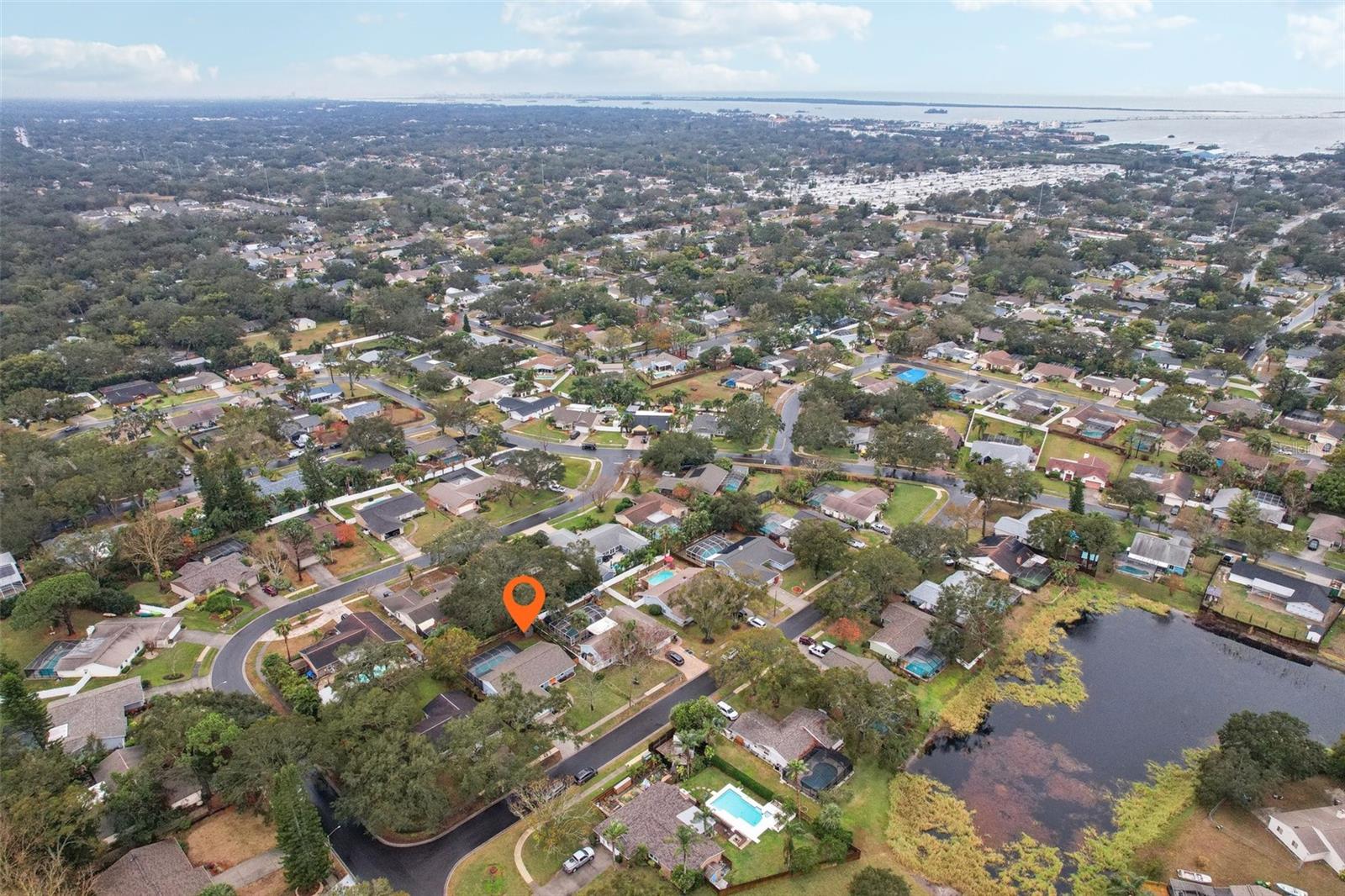 1662 SPOTTSWOOD CIR, PALM HARBOR, FL, 34683