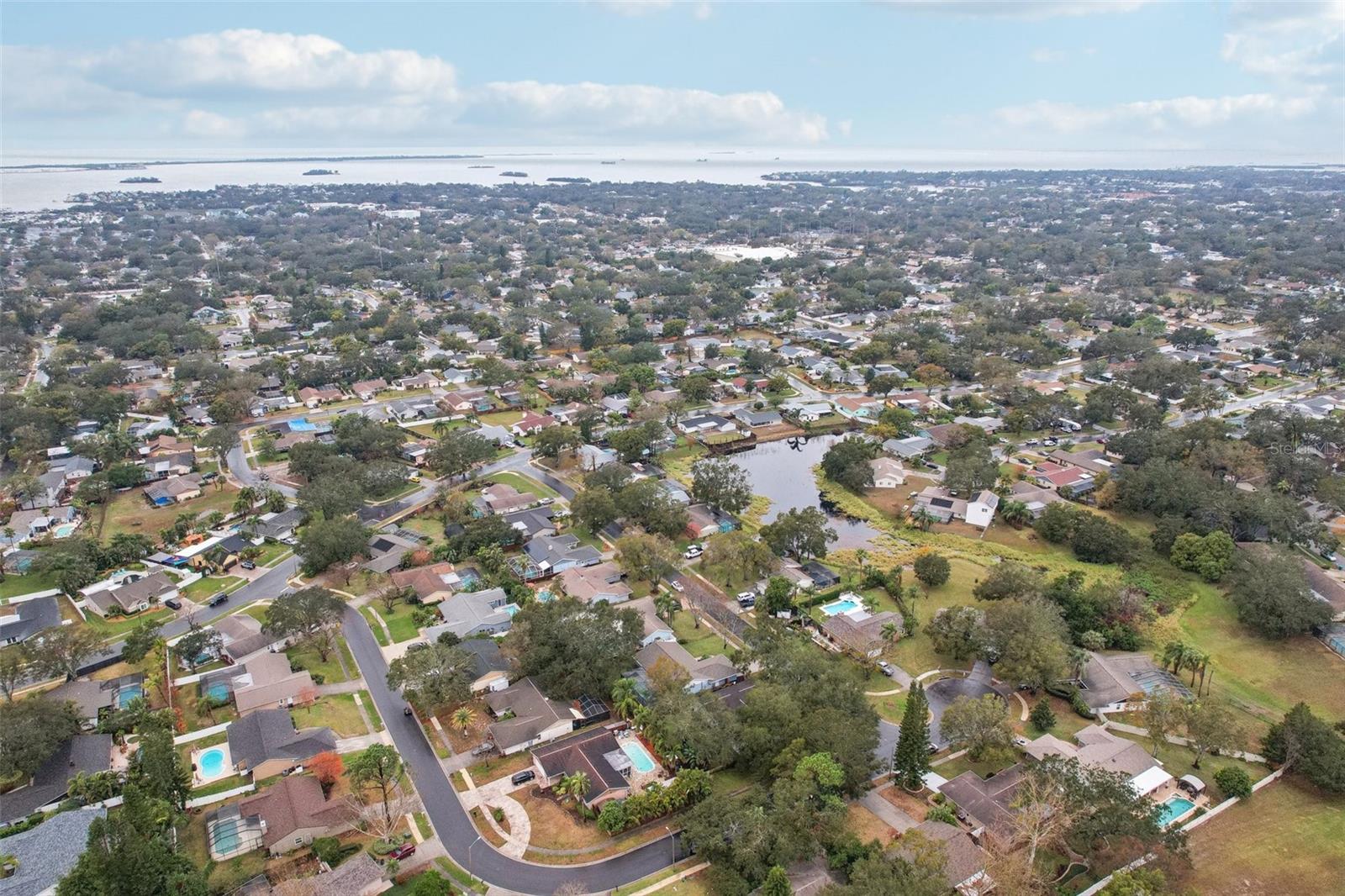1662 SPOTTSWOOD CIR, PALM HARBOR, FL, 34683