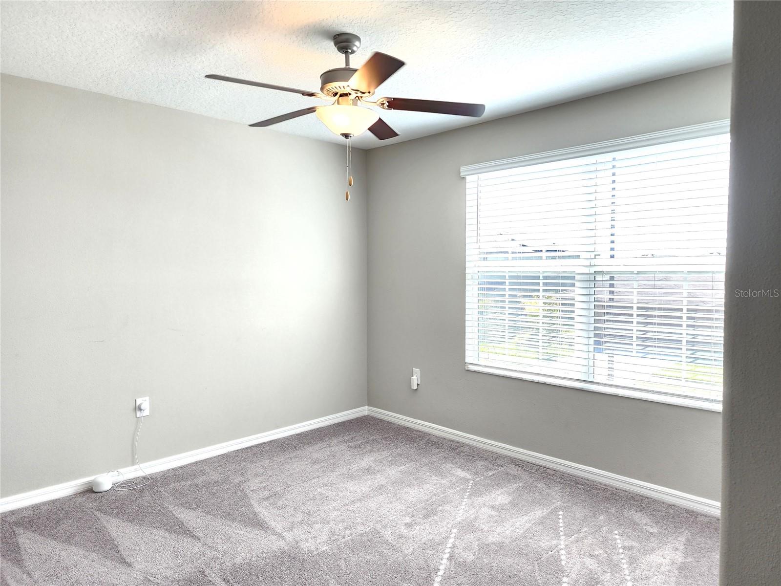 12766 MAPLE BONSAI DR, RIVERVIEW, FL, 33579