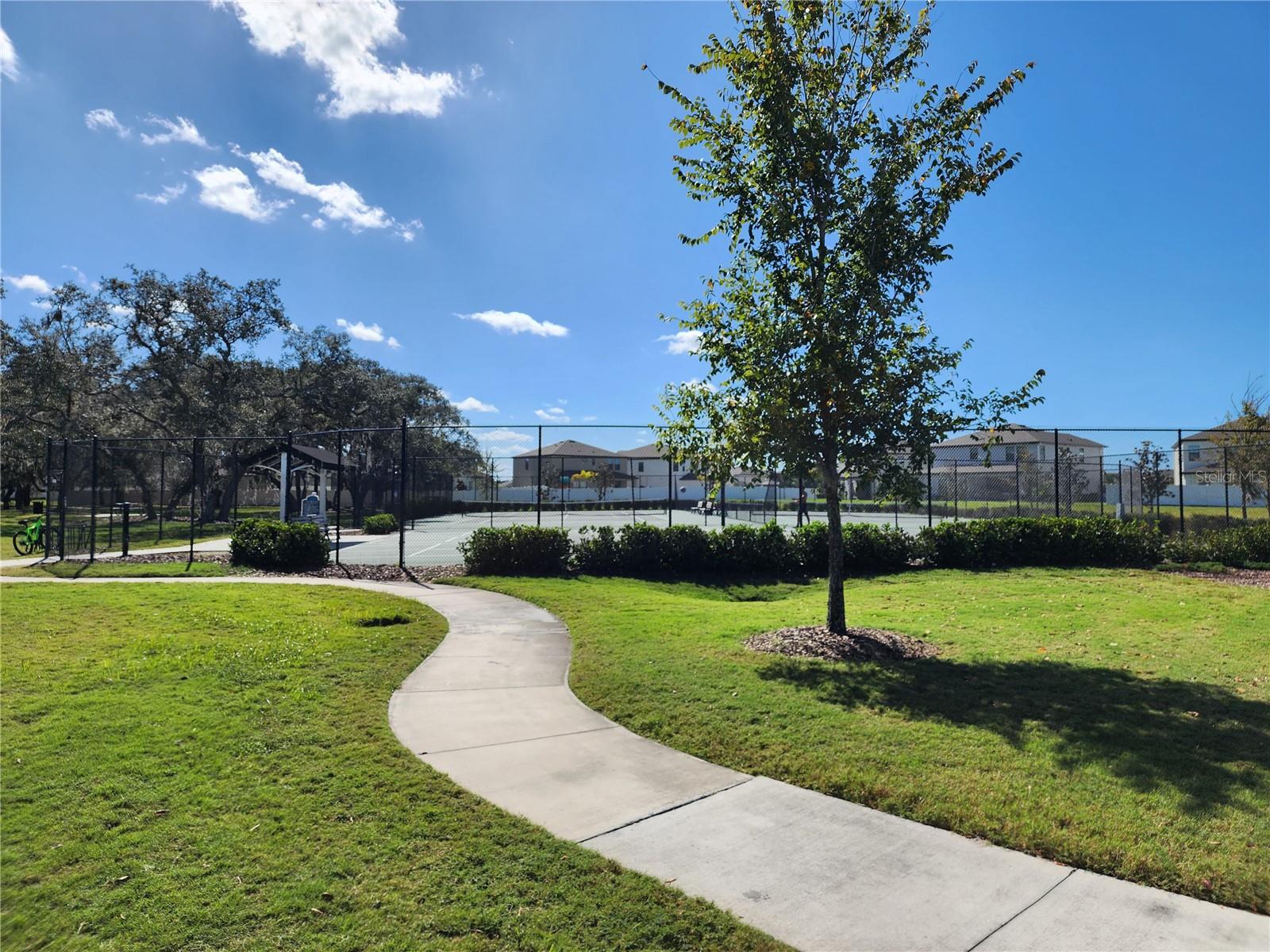12766 MAPLE BONSAI DR, RIVERVIEW, FL, 33579