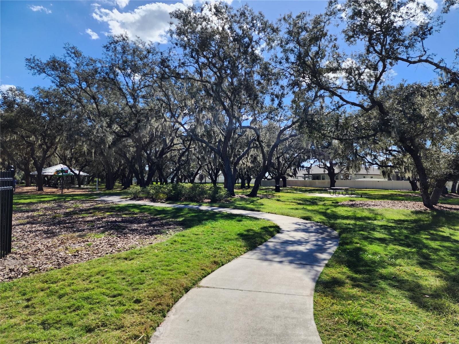 12766 MAPLE BONSAI DR, RIVERVIEW, FL, 33579