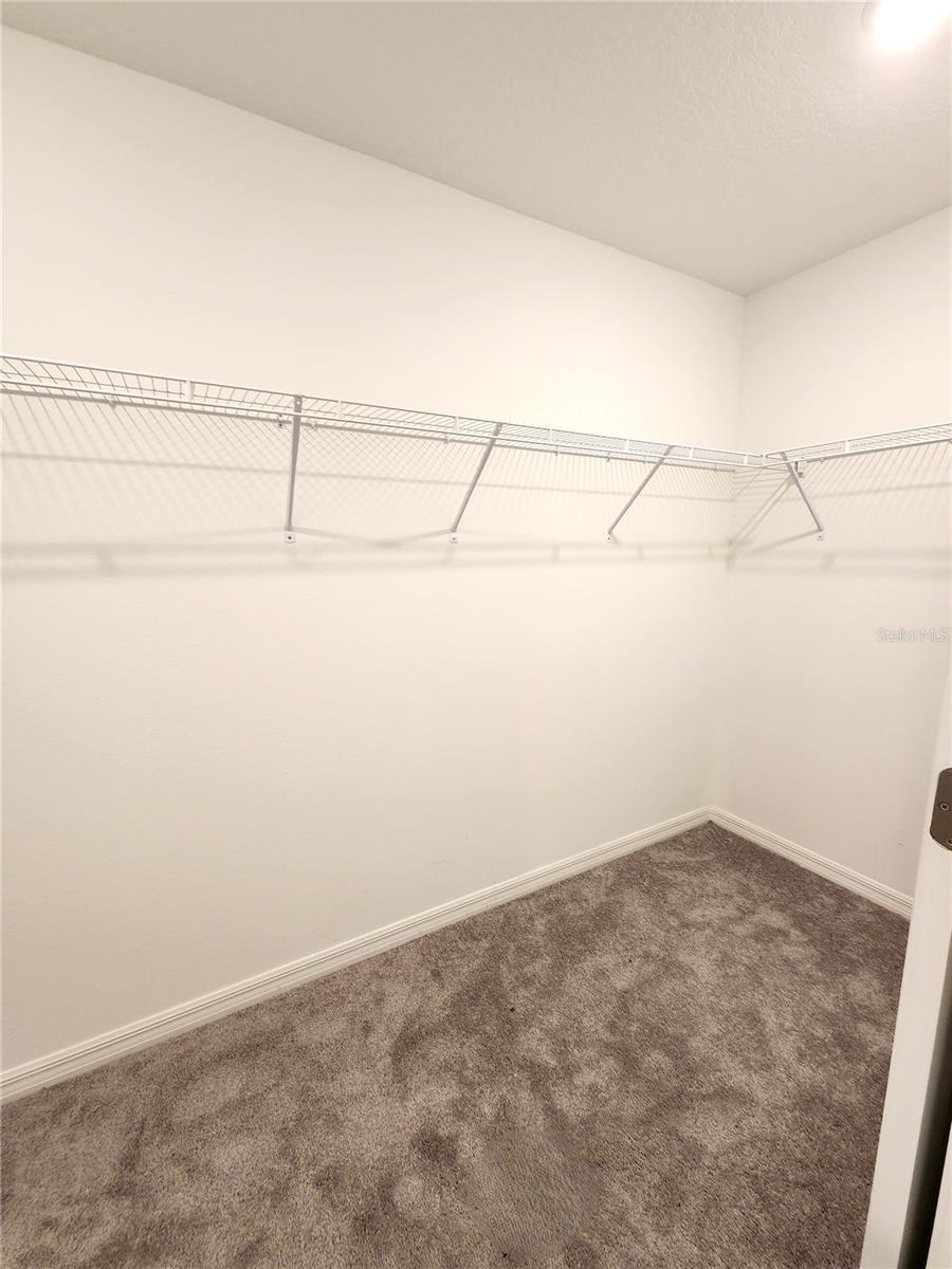 12766 MAPLE BONSAI DR, RIVERVIEW, FL, 33579
