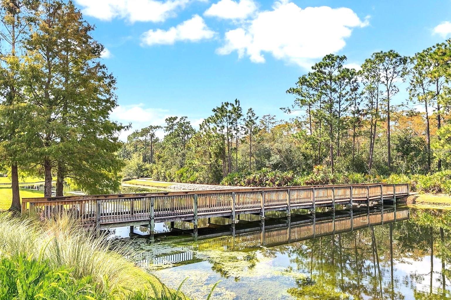 9007 EAGLE COVE CT, ORLANDO, FL, 32825