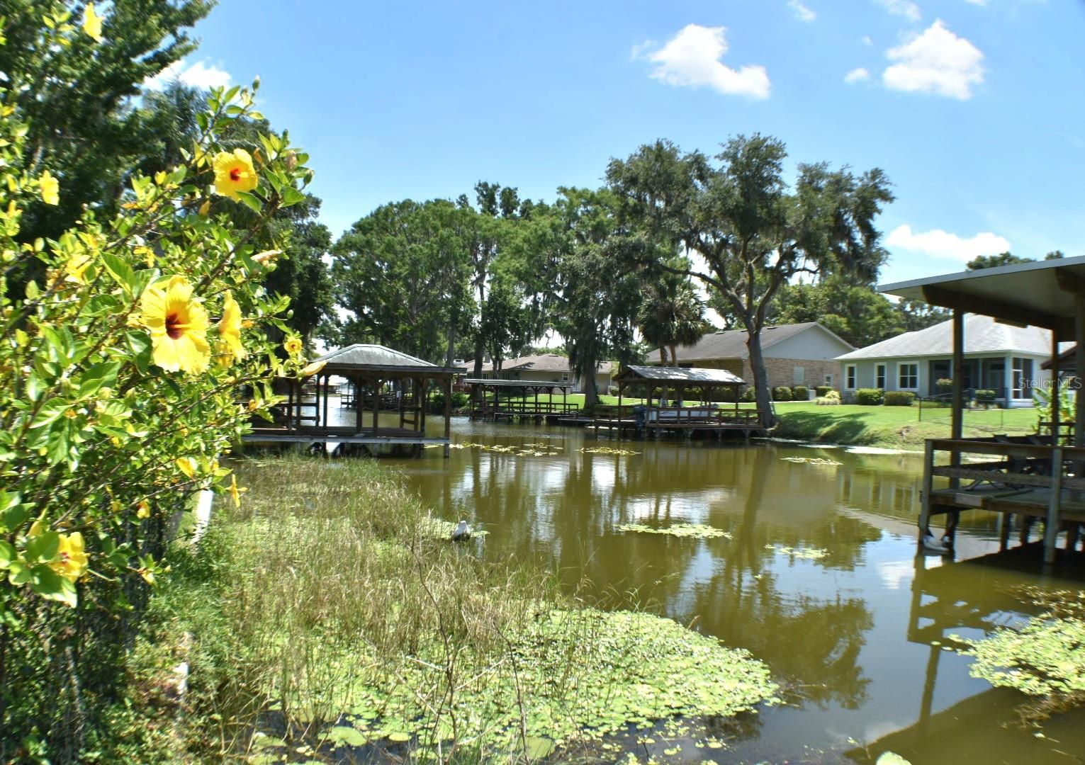 225 TEMPLE CIR, EUSTIS, FL, 32726