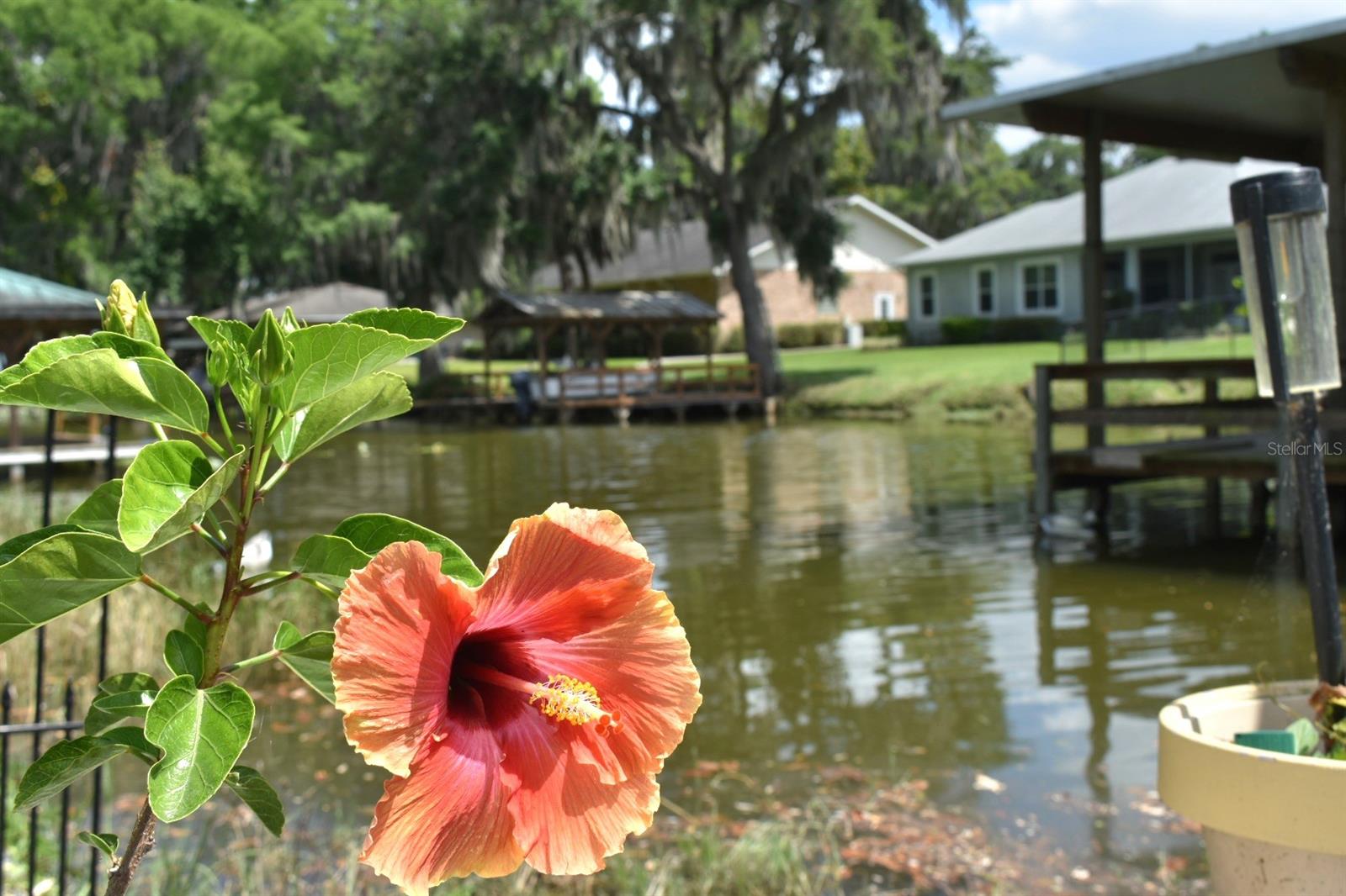 225 TEMPLE CIR, EUSTIS, FL, 32726