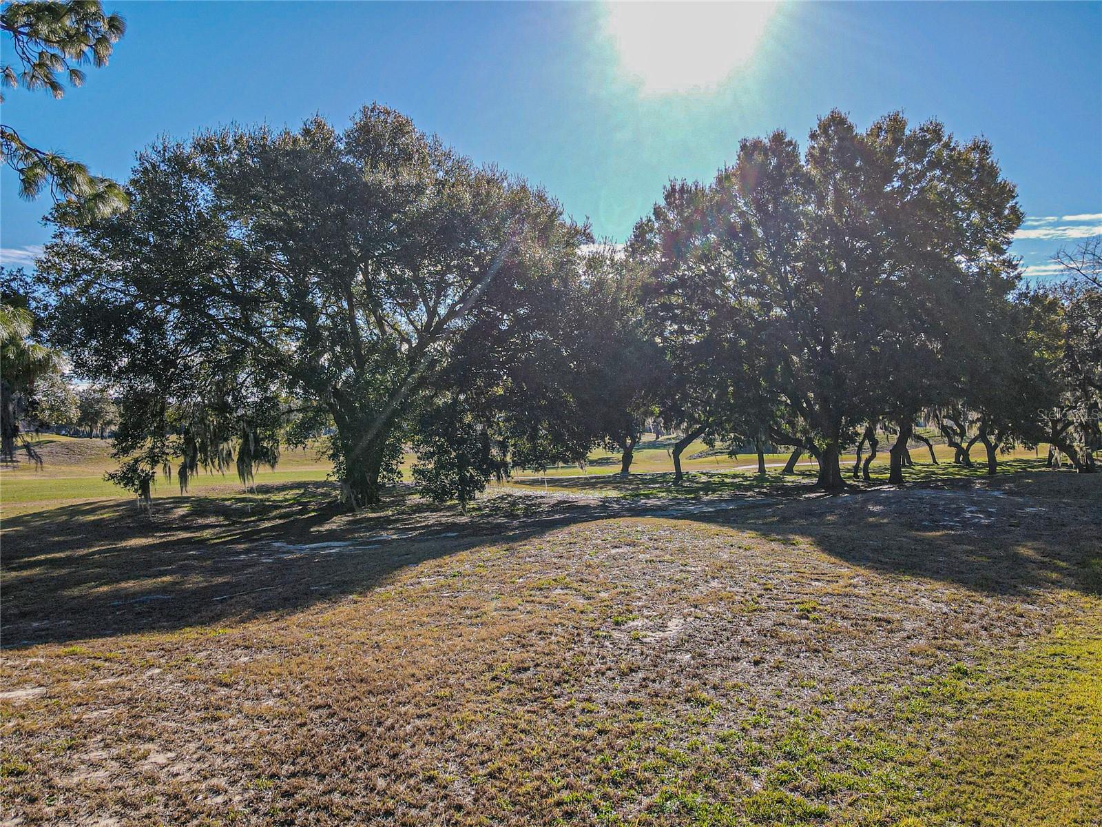 12955 SE 93RD CIR, SUMMERFIELD, FL, 34491