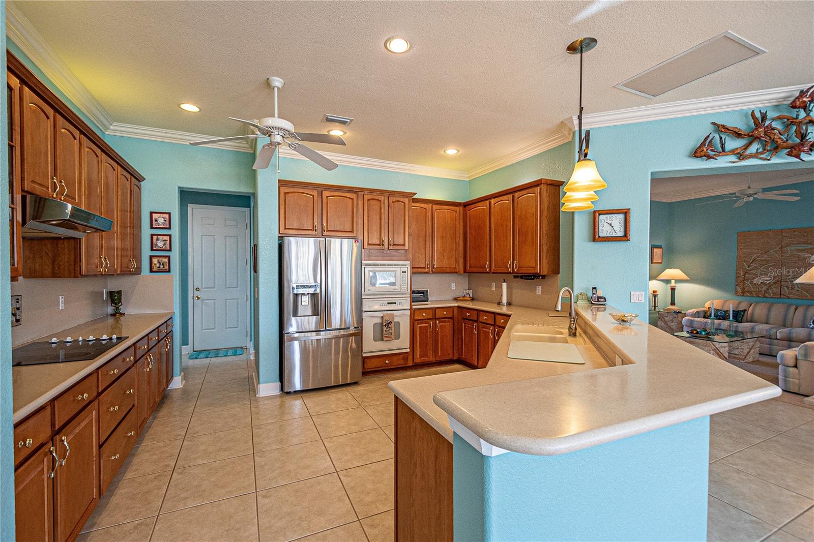 12955 SE 93RD CIR, SUMMERFIELD, FL, 34491