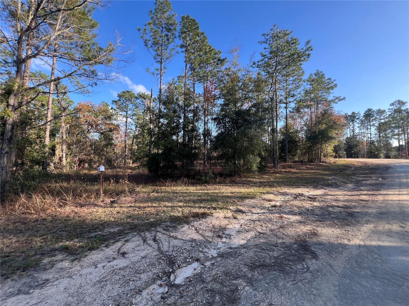 12251 NE 91 CT, ARCHER, FL, 32618