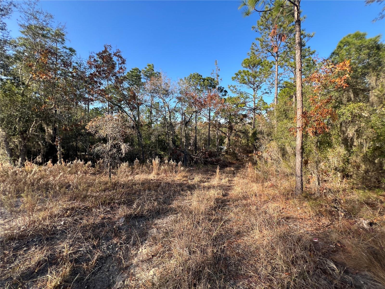 12251 NE 91 CT, ARCHER, FL, 32618