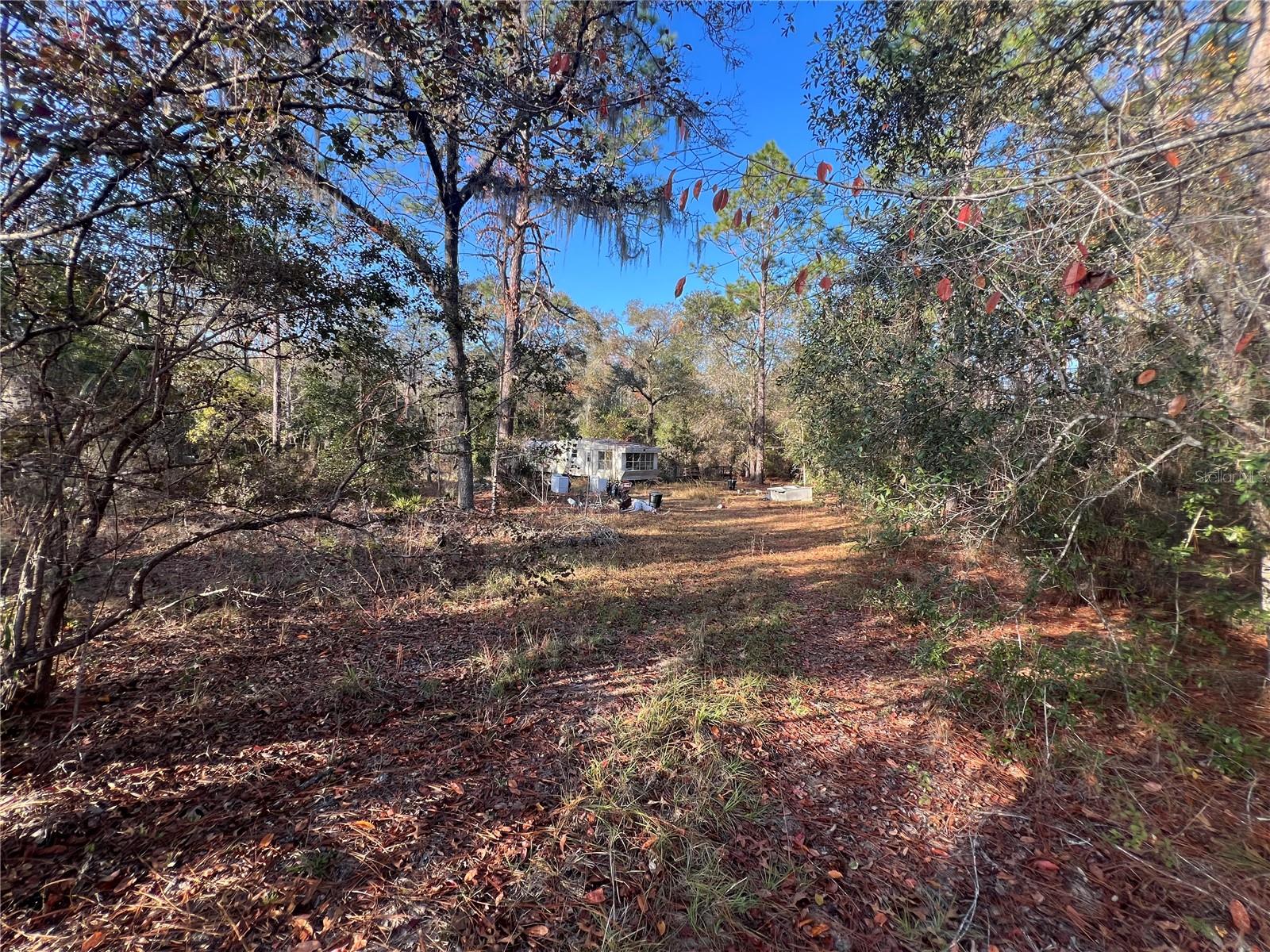 12251 NE 91 CT, ARCHER, FL, 32618