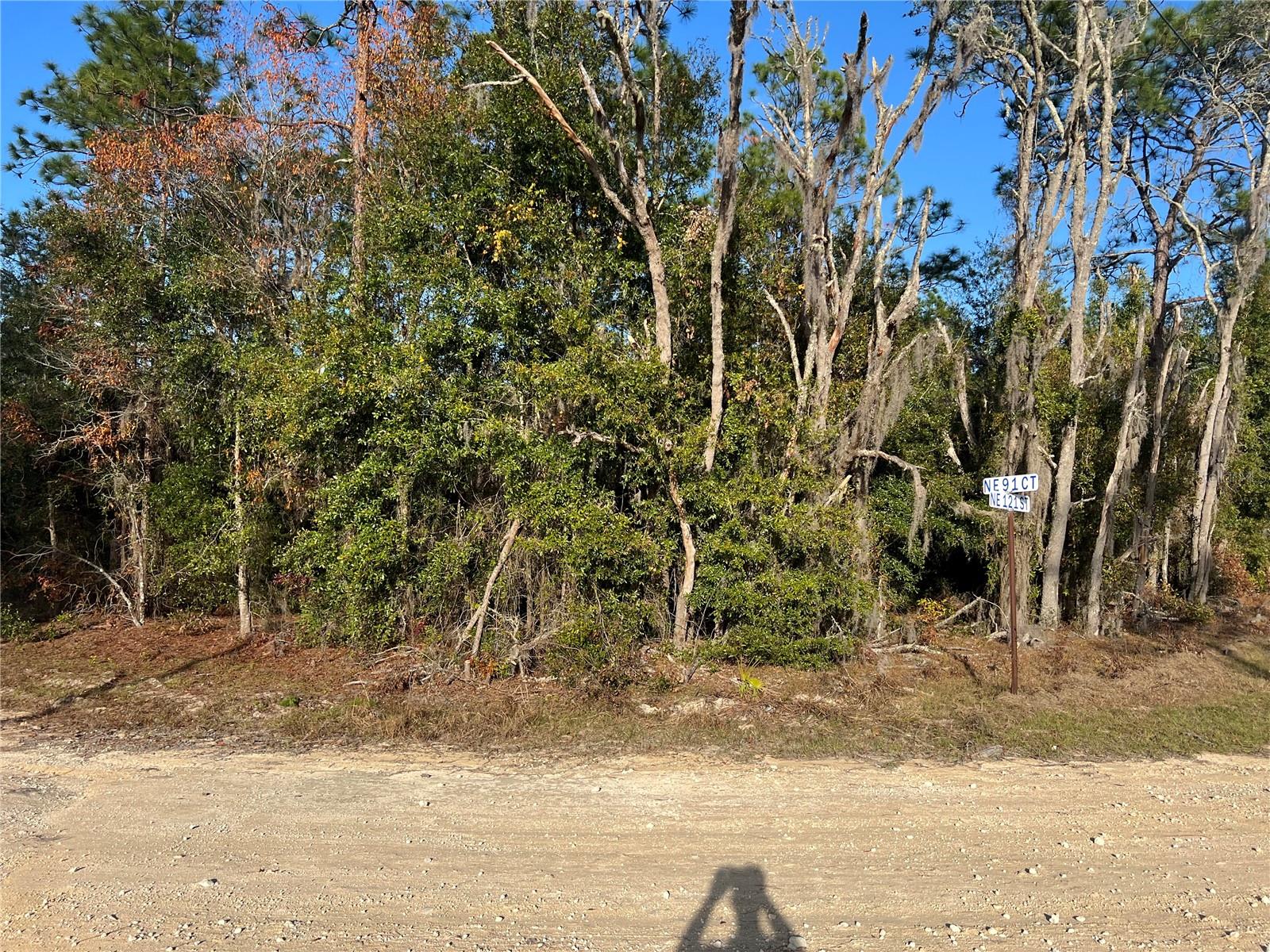 12251 NE 91 CT, ARCHER, FL, 32618