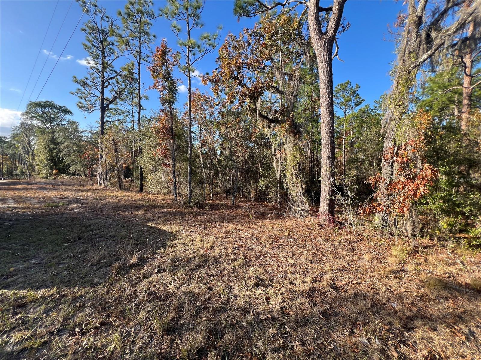 12251 NE 91 CT, ARCHER, FL, 32618