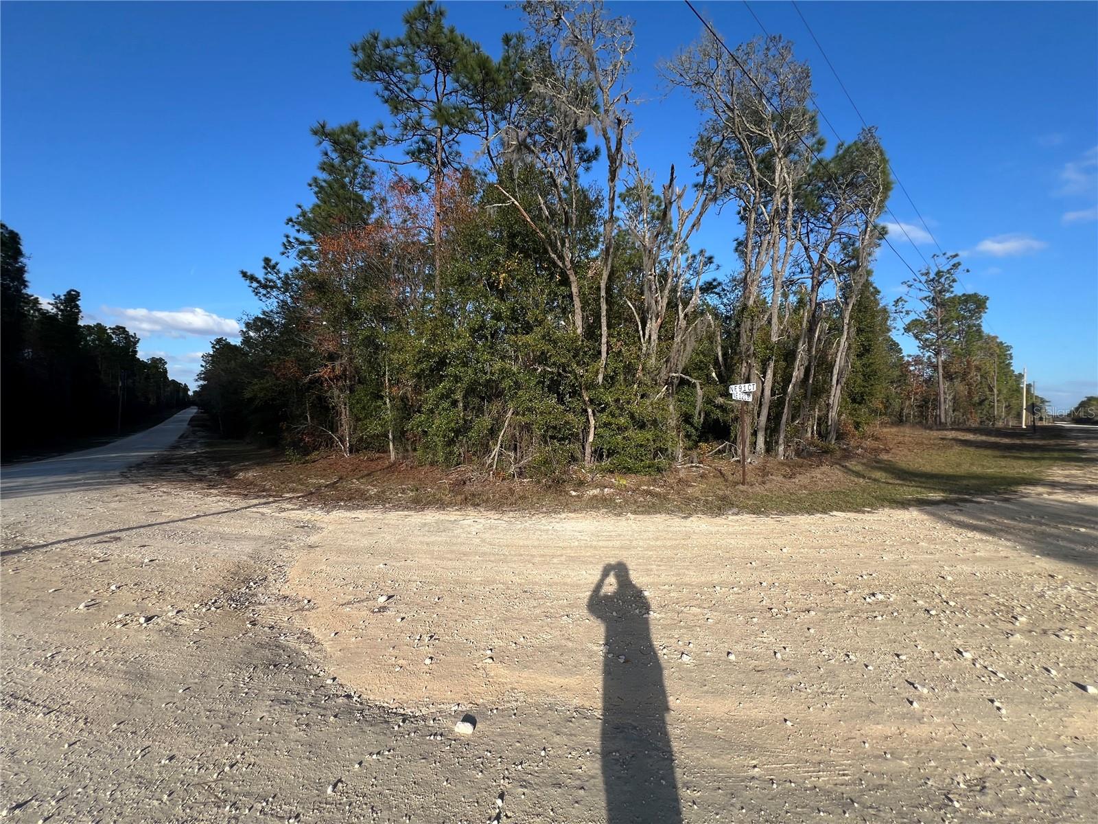 12251 NE 91 CT, ARCHER, FL, 32618