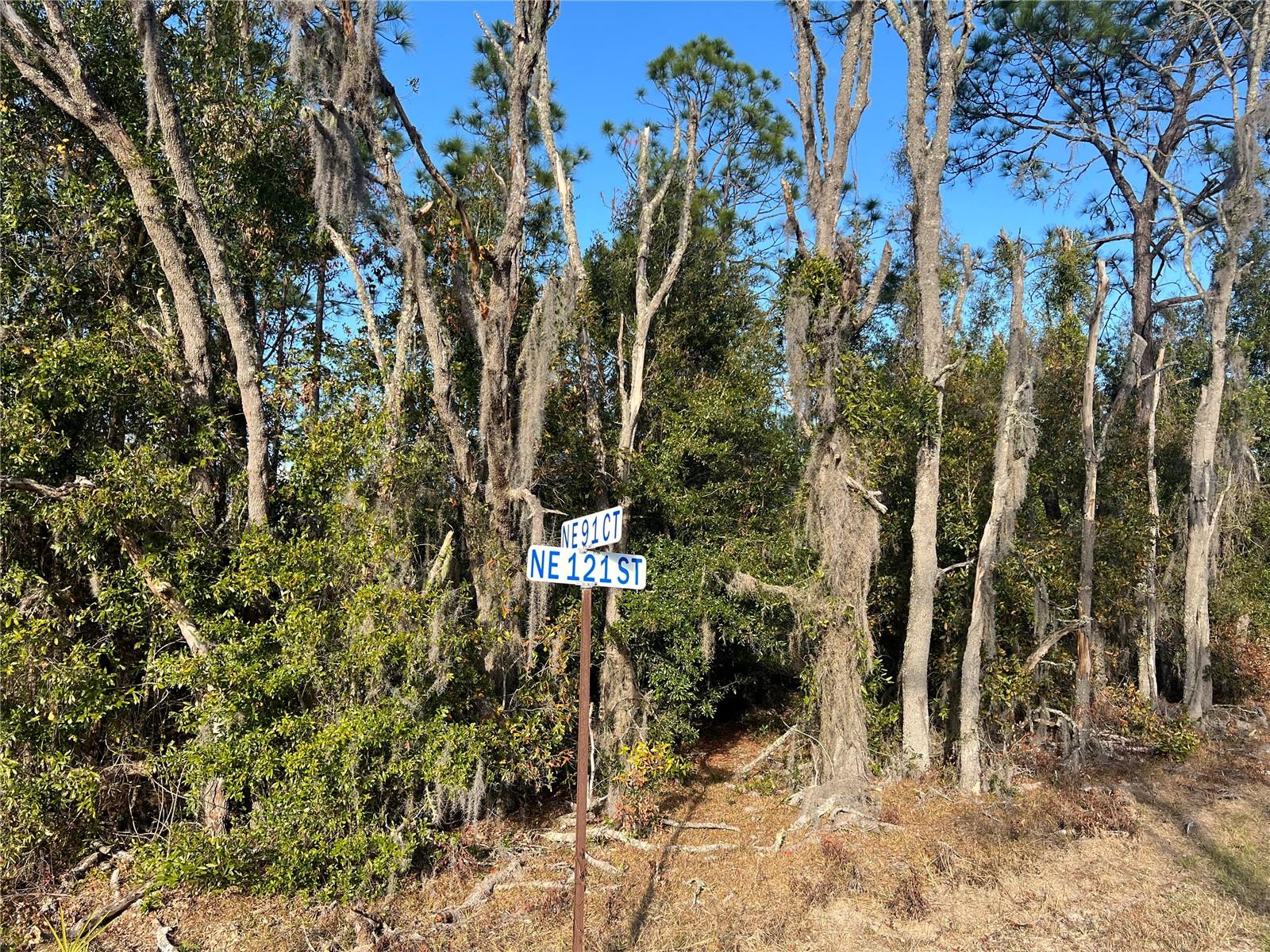 12251 NE 91 CT, ARCHER, FL, 32618