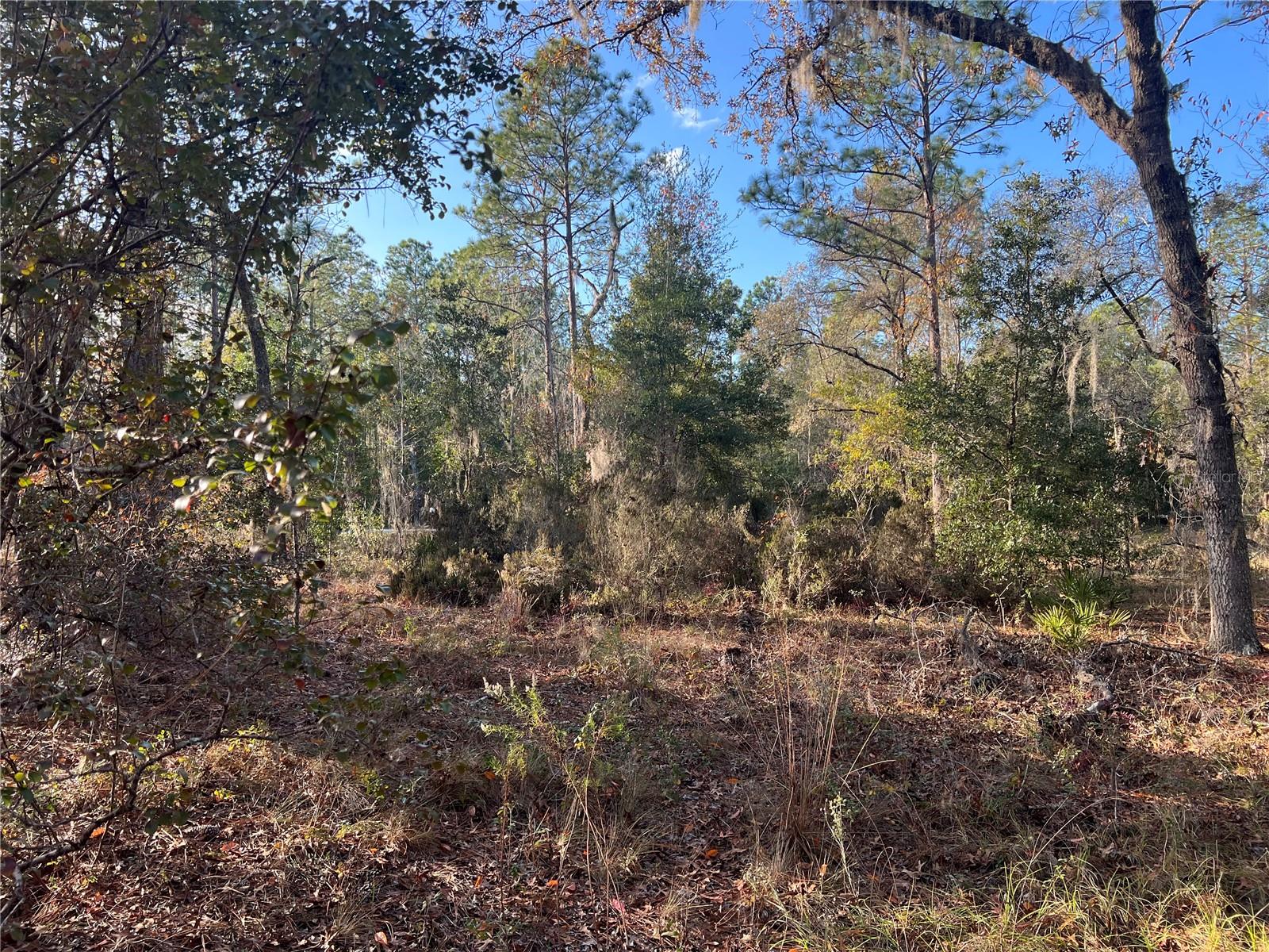 12251 NE 91 CT, ARCHER, FL, 32618