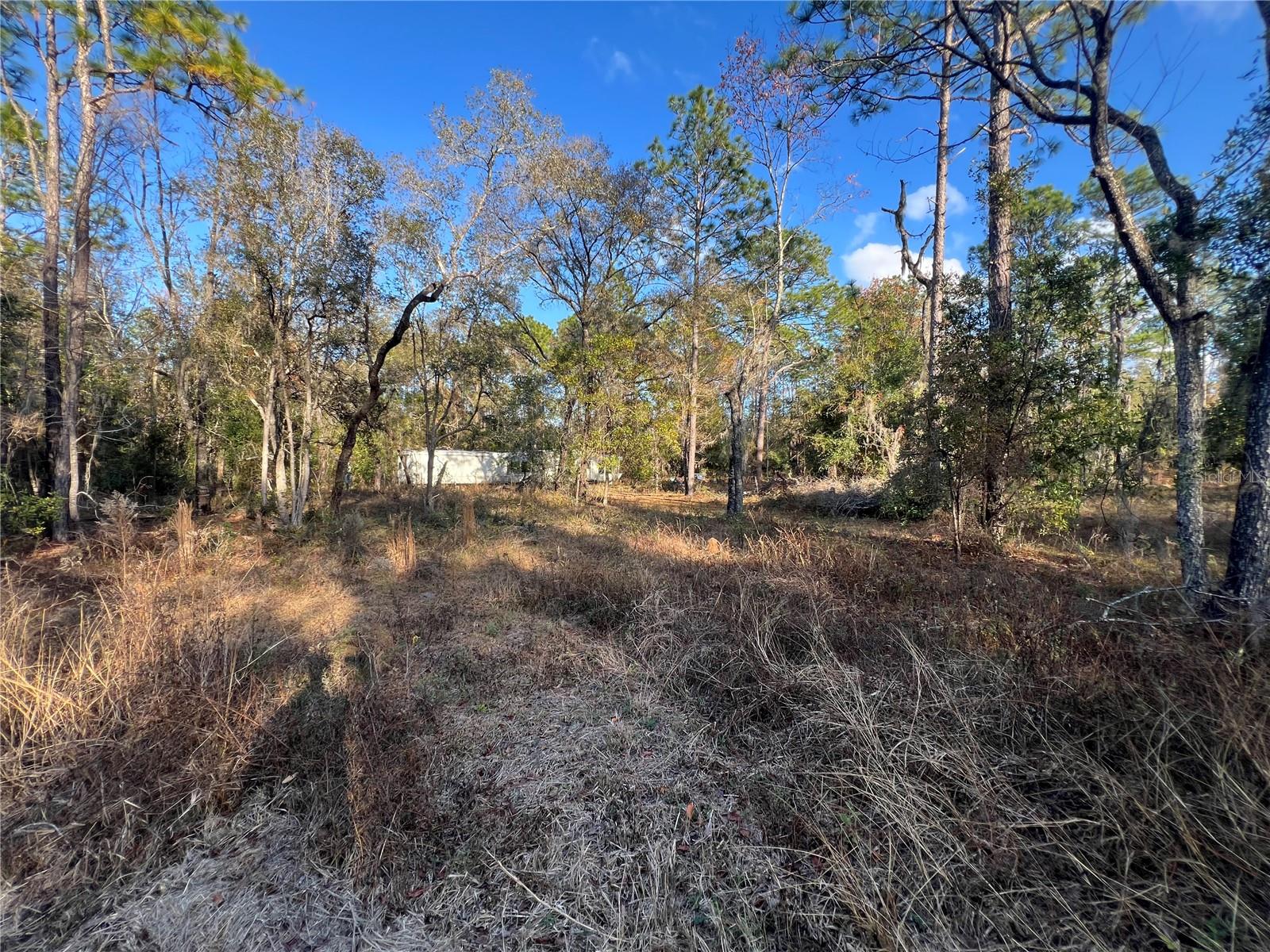 12251 NE 91 CT, ARCHER, FL, 32618